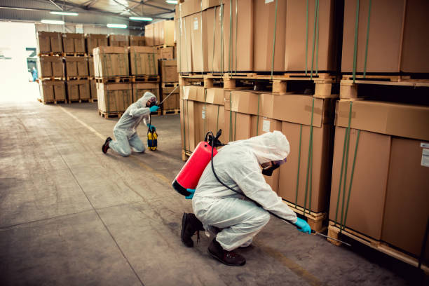 Best Exterminator Services  in Baldwin, NY