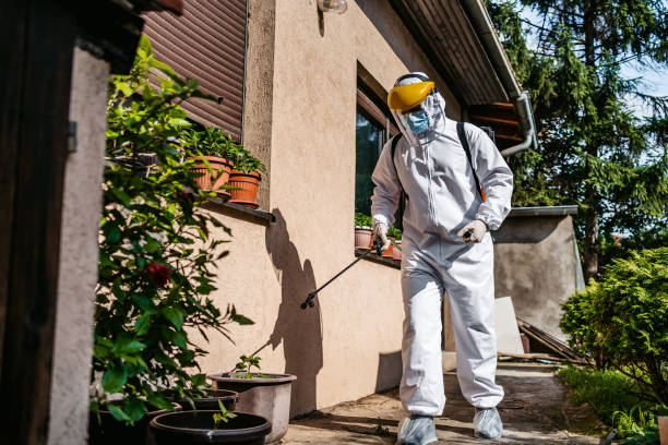Best Termite Control Services  in Baldwin, NY