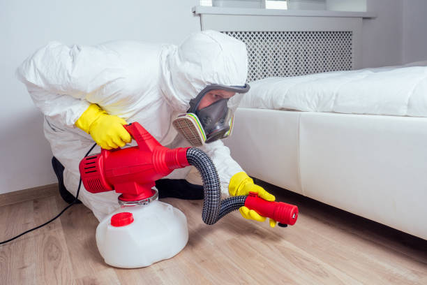 Best Bed Bug Extermination  in Baldwin, NY