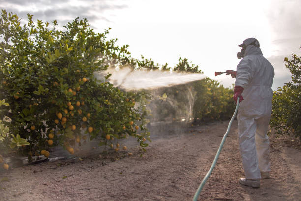 Pest Prevention Services in Baldwin, NY