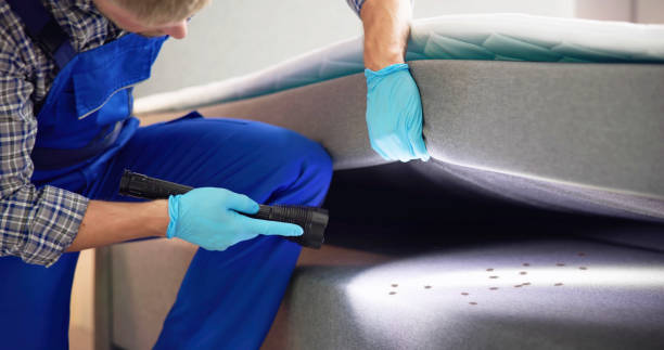 Best Cockroach Control Services  in Baldwin, NY
