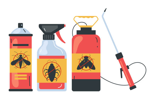 Best Ant Control Services  in Baldwin, NY